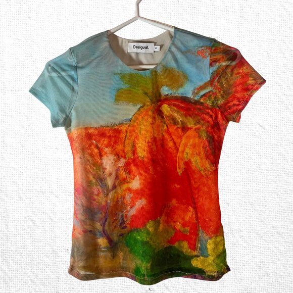 Desigual Tops - Desigual multicolour mesh baby tee XS EUC